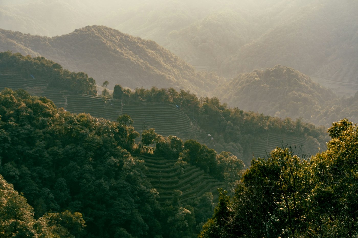 Hangzhou